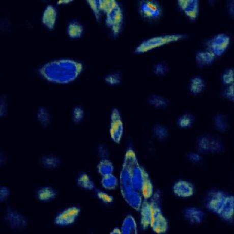 Github Jxzly Biomedical Relation Classification - High Resolution Gradient Illustrations for Desktop