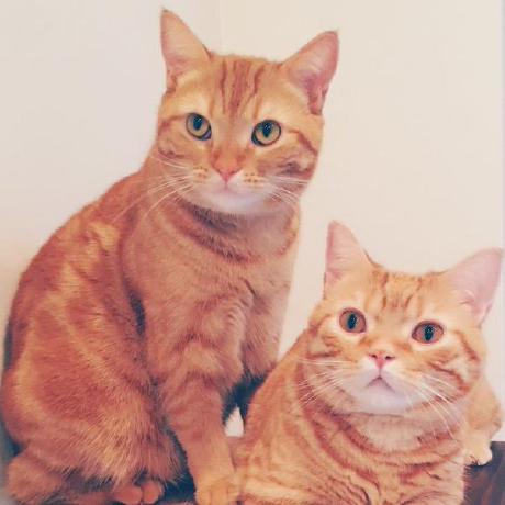 Github Natsuki Hui Cafe Angular 1 7 - Full HD Geometric Photos for Desktop