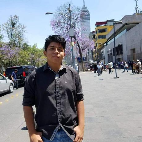 Github Camilogm Composite Example - Premium Minimal Art Gallery - Desktop