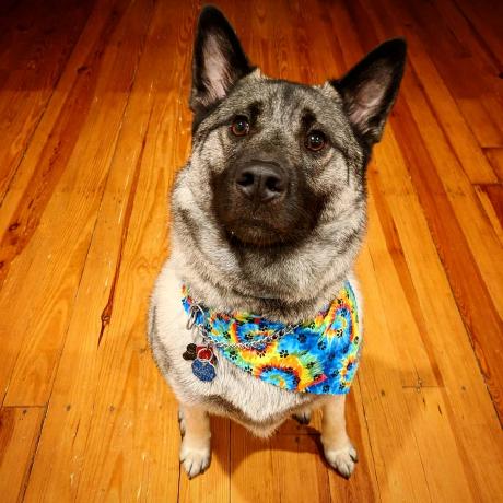 Sandercollins Sander Collins Github - Ultra HD Light Pictures for Desktop