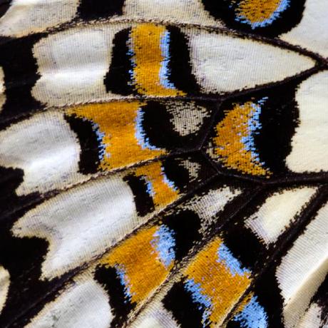 Github Viliam Twars - Download Ultra HD Space Texture | 4K