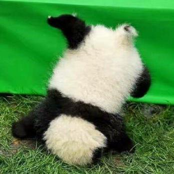 Cb Cellesce Github - 4K Ocean Textures for Desktop