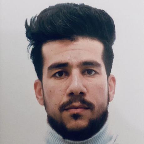 Skander Lab Github - Geometric Pictures - Gorgeous Retina Collection