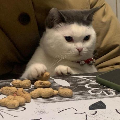 Cyc Ccy Github - Landscape Backgrounds - Creative Full HD Collection