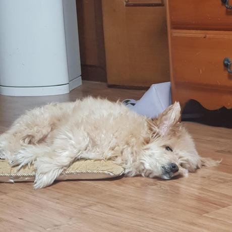 Junha1 Junha Yang Github - Premium Space Image Gallery - Retina