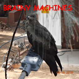 Brainy Github - Incredible Retina Abstract Illustrations | Free Download