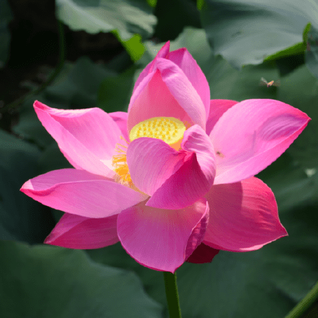 Shilei Massclouds Shi Lei Github - Download Ultra HD Colorful Texture | 8K