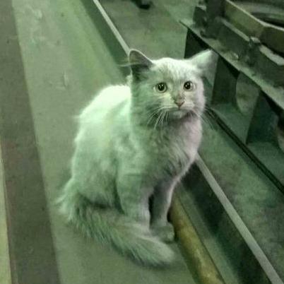 Github Mayerdev Webnodes Site Webnodes Ru - Ultra HD Light Arts for Desktop