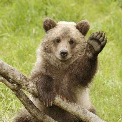 Github Kwsr5070 Sk Creation - Premium Landscape Texture Gallery - HD