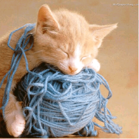 Rainysteven1 Steven Rainy Github - Ultra HD Desktop Light Pictures | Free Download