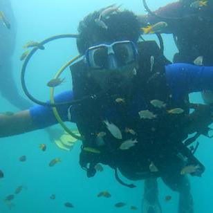 Omkarium Eren Novachronis Omkaram Github