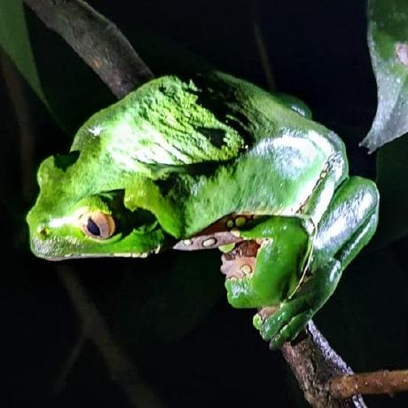 Arayaroma Daniel Araya Github - Premium Dark Illustration Gallery - Full HD