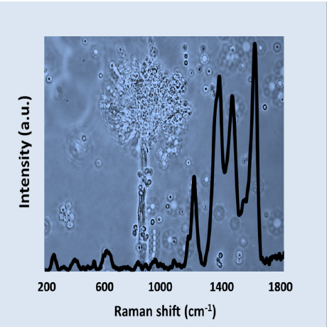 Cdph Raman Micro Spectroscopy Website - Abstract Illustrations - Amazing Desktop Collection