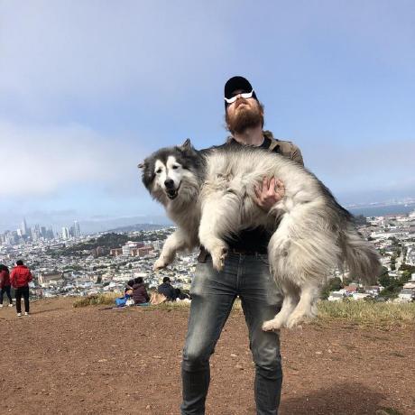 Strauch 1 Steffen Strauch Github - Download High Quality Dark Background | Mobile