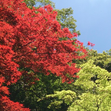 Doma2 List Issue 383 Domaframework Doma Github - City Backgrounds - Premium Mobile Collection