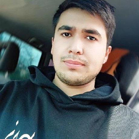 Frahimov Fedik Rahimov Github - Best City Illustrations in 4K