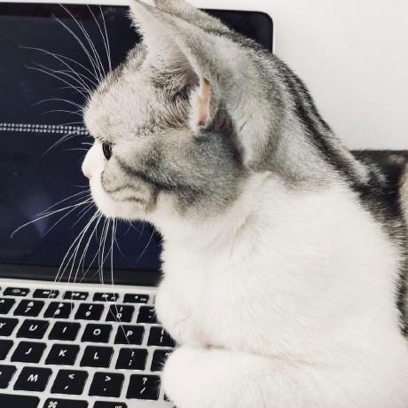 Github Kngxscn Dnsrelay Dns - 4K City Illustrations for Desktop