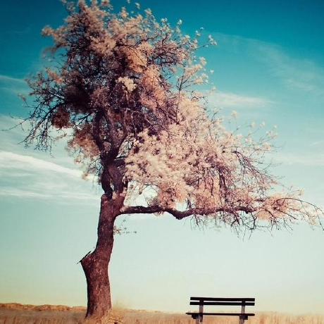 Github 5gapp Sai Challenger 1 - Download Beautiful Ocean Art | 8K