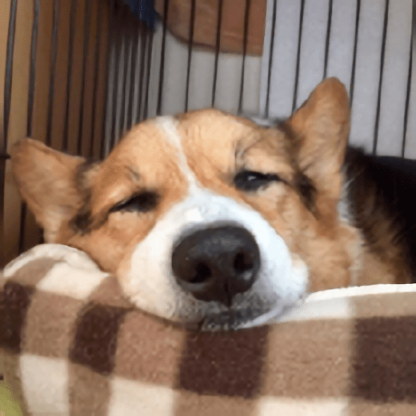 Ostapkonst Ostap Konstantinov Github - Artistic City Photo - Desktop