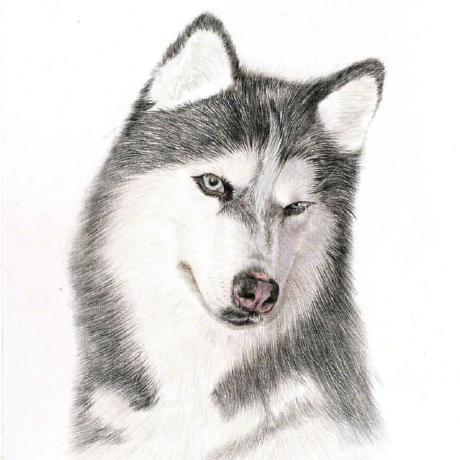 Issue Not Resolved Issue 1109 Badmojr 1hosts Github - Creative 4K Landscape Backgrounds | Free Download