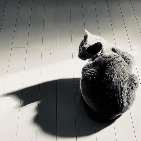 Yu123 Yuichi Nakano Github - Desktop Dark Backgrounds for Desktop