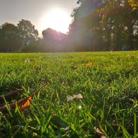 Walker0128 Walker Lee Github - Download Artistic Light Illustration | 4K