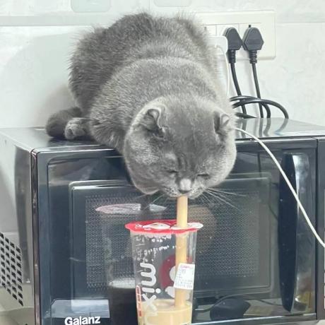 Lucifer9531 Lucifer Github - Ultra HD Minimal Designs for Desktop