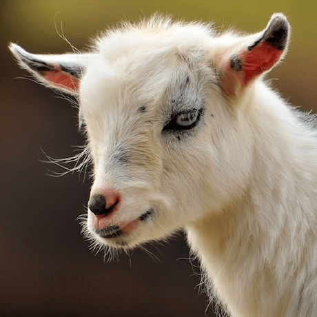 Github Goalitium Goalitium Github Io - Ultra HD Minimal Textures for Desktop