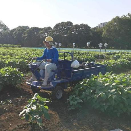 Github Oceam Study Cnn Explainer Original Version From Https - Vintage Patterns - Elegant HD Collection