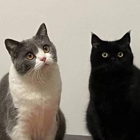 Pengxiaoling Xiaoling Github - Geometric Wallpapers - High Quality Desktop Collection