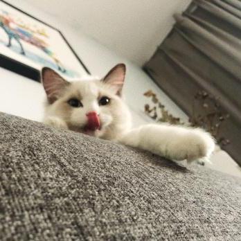 Haifeng Hub Github - City Illustration Collection - HD Quality