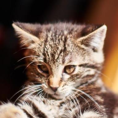 Nullius Issue 38 Renoth Factorio Factory Levels Github - 4K Abstract Arts for Desktop