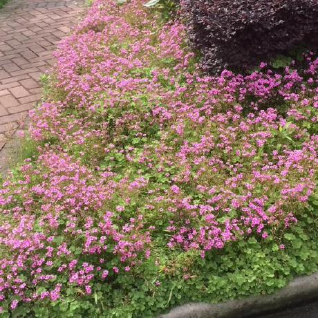 Tim2277 Tim Github - Premium Nature Photo Gallery - HD