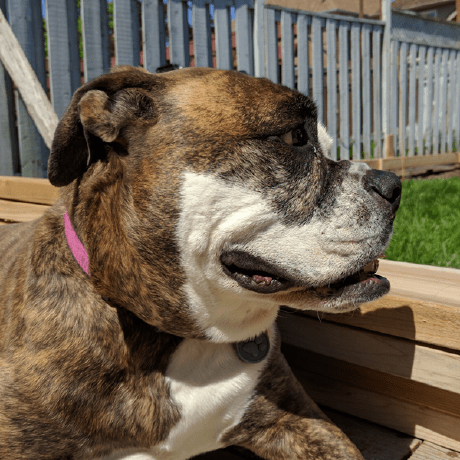 Smashedr Smashed Github - Premium Geometric Texture Gallery - High Resolution