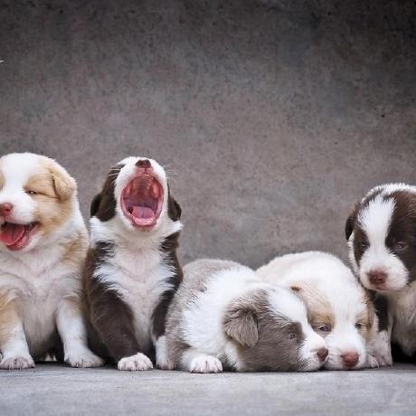 Github Ma Tao007 C00117 Hkjpyd Manager Ssh Maven - Minimal Art Collection - Full HD Quality