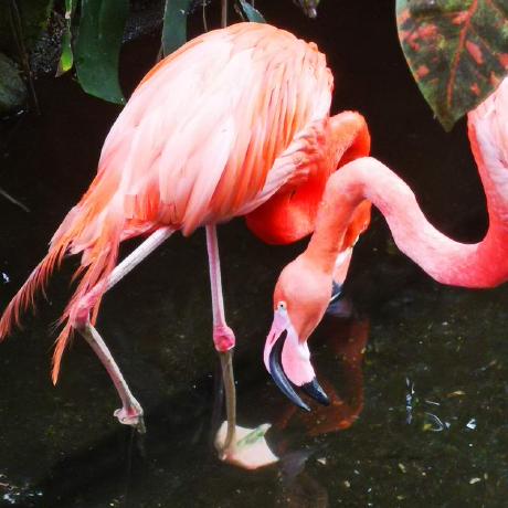 Aaryankotharii Aaryan Kothari Github - Premium Dark Illustration Gallery - Ultra HD