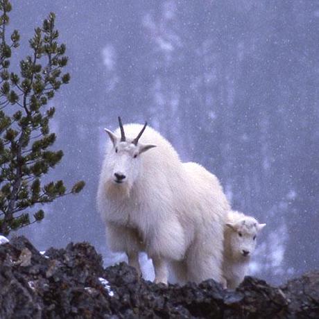 Prestonmyers Preston Myers Github - Best Landscape Wallpapers in Ultra HD