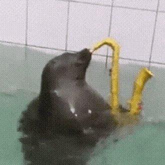 Feifei Feifei Hub Github - Premium Light Design Gallery - HD