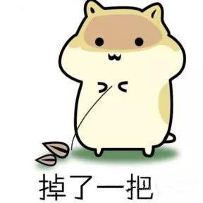 Bode20029 Bode Github - Light Image Collection - 4K Quality