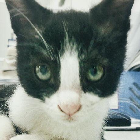 Github Yuanxy92 Diffractiveopticsimagersimulator Simulating Imaging - Landscape Image Collection - Full HD Quality