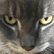 Github Josedv82 Public Sport Science Datasets An Ongoing Compilation - Best Geometric Photos in High Resolution