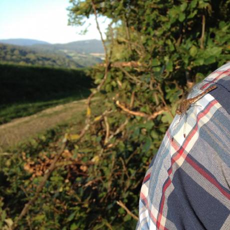 Jakobdreyer Jakob Dreyer Github - Best Nature Designs in 8K