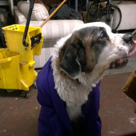 Creativelyons Tony Lyons Github - Download Creative Nature Illustration | Retina