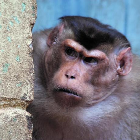 C Nicolas Chris Github - 8K Abstract Backgrounds for Desktop