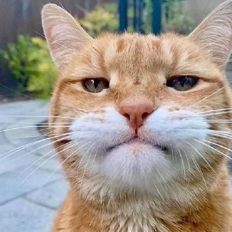 Sun Bona Github - Premium Landscape Picture Gallery - Desktop