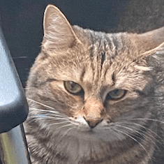 Var It Github - Download Amazing Landscape Design | 4K