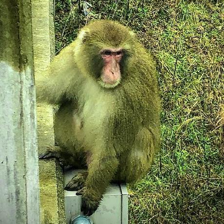 Github Debroglieeeen Atd App - Download Classic Gradient Texture | Mobile