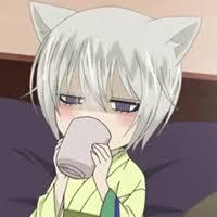 Mbdamao Damao Github - Nature Background Collection - High Resolution Quality