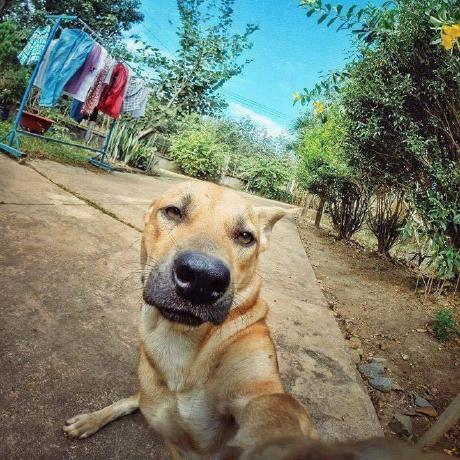 Duypham72 Duy Pham Github - Best Sunset Images in 4K